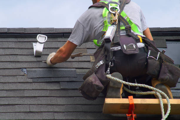 Best Flat Roof Repair Services  in Springfield, IL