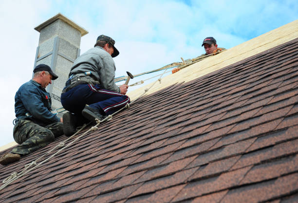 Quick and Trustworthy Emergency Roof Repair Services in Springfield, IL
